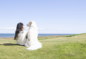 お墓を維持できないという日本の現状