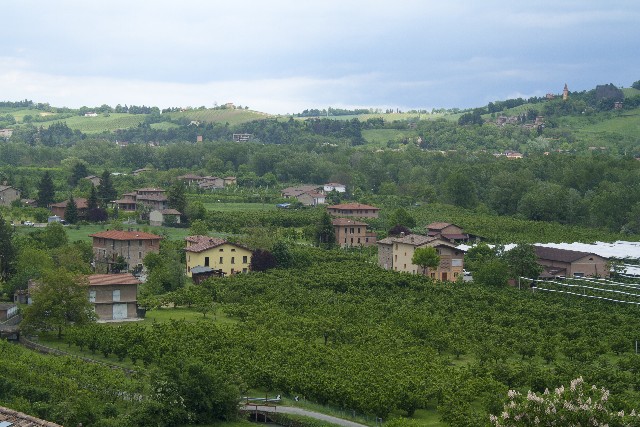 欧米での自然葬